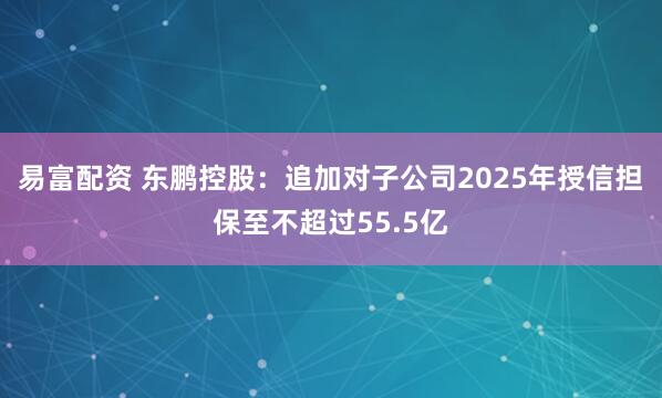 易富配资 东鹏控股：追加对子公司2025年授信担保至不超过55.5亿