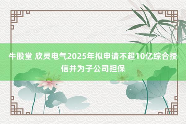 牛股堂 欣灵电气2025年拟申请不超10亿综合授信并为子公司担保