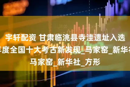 宇轩配资 甘肃临洮县寺洼遗址入选2024年度全国十大考古新发现_马家窑_新华社_方形