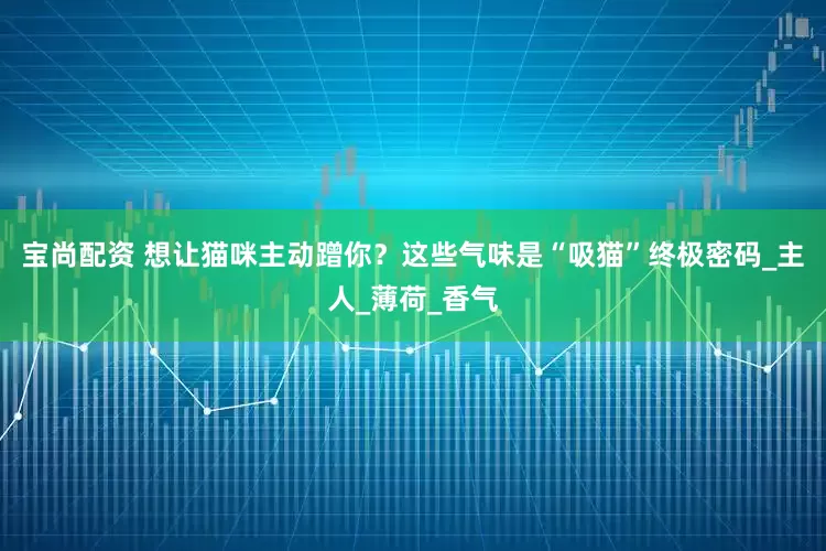 宝尚配资 想让猫咪主动蹭你？这些气味是“吸猫”终极密码_主人_薄荷_香气