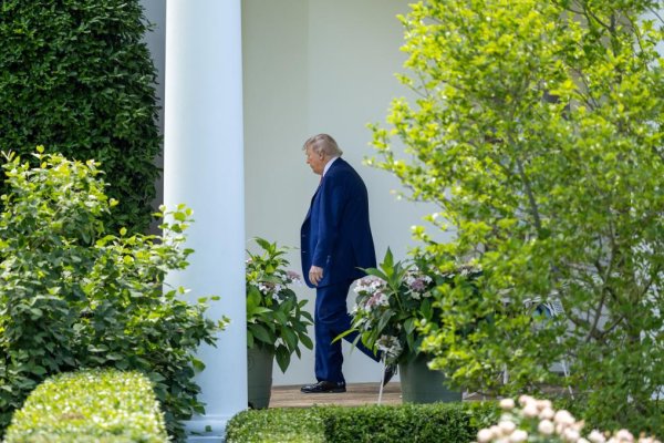 创元网配资 特朗普不否定哈佛国际生“禁招令”或扩大 最新进展一览