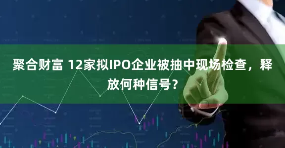 聚合财富 12家拟IPO企业被抽中现场检查，释放何种信号？