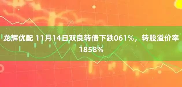 龙辉优配 11月14日双良转债下跌061%，转股溢价率1858%