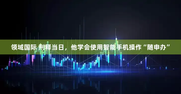 领域国际 刑释当日，他学会使用智能手机操作“随申办”